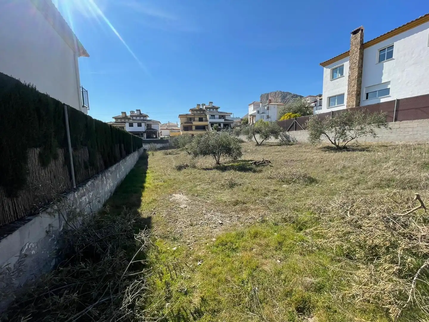 Terrenos y solares en venta en Centro de Albolote, imagen 2