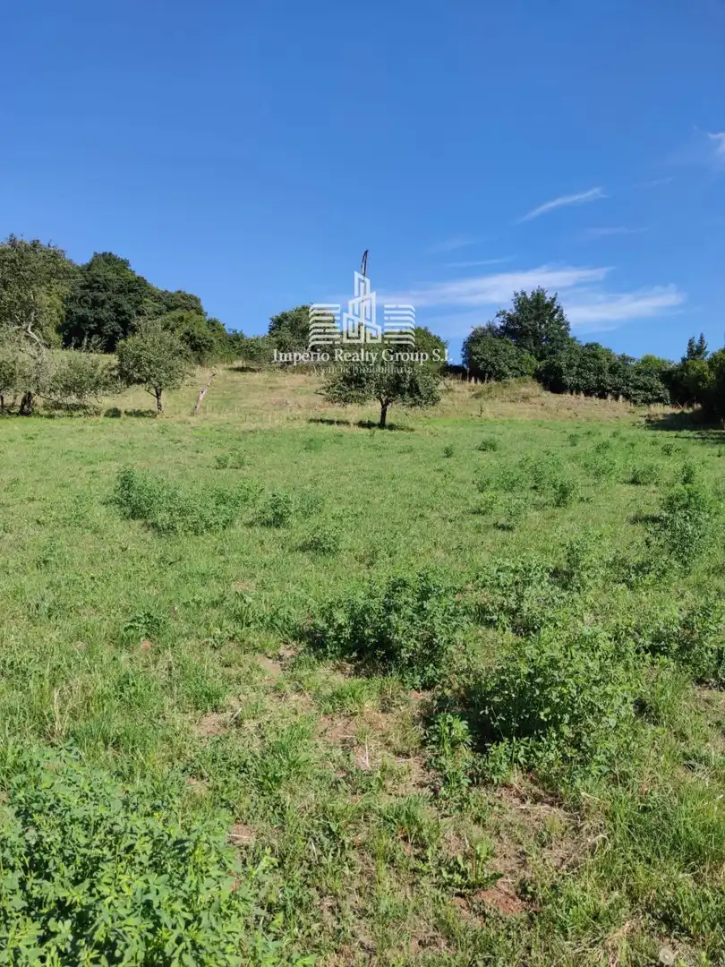 Terreno rústico en venta en Grado, imagen 3