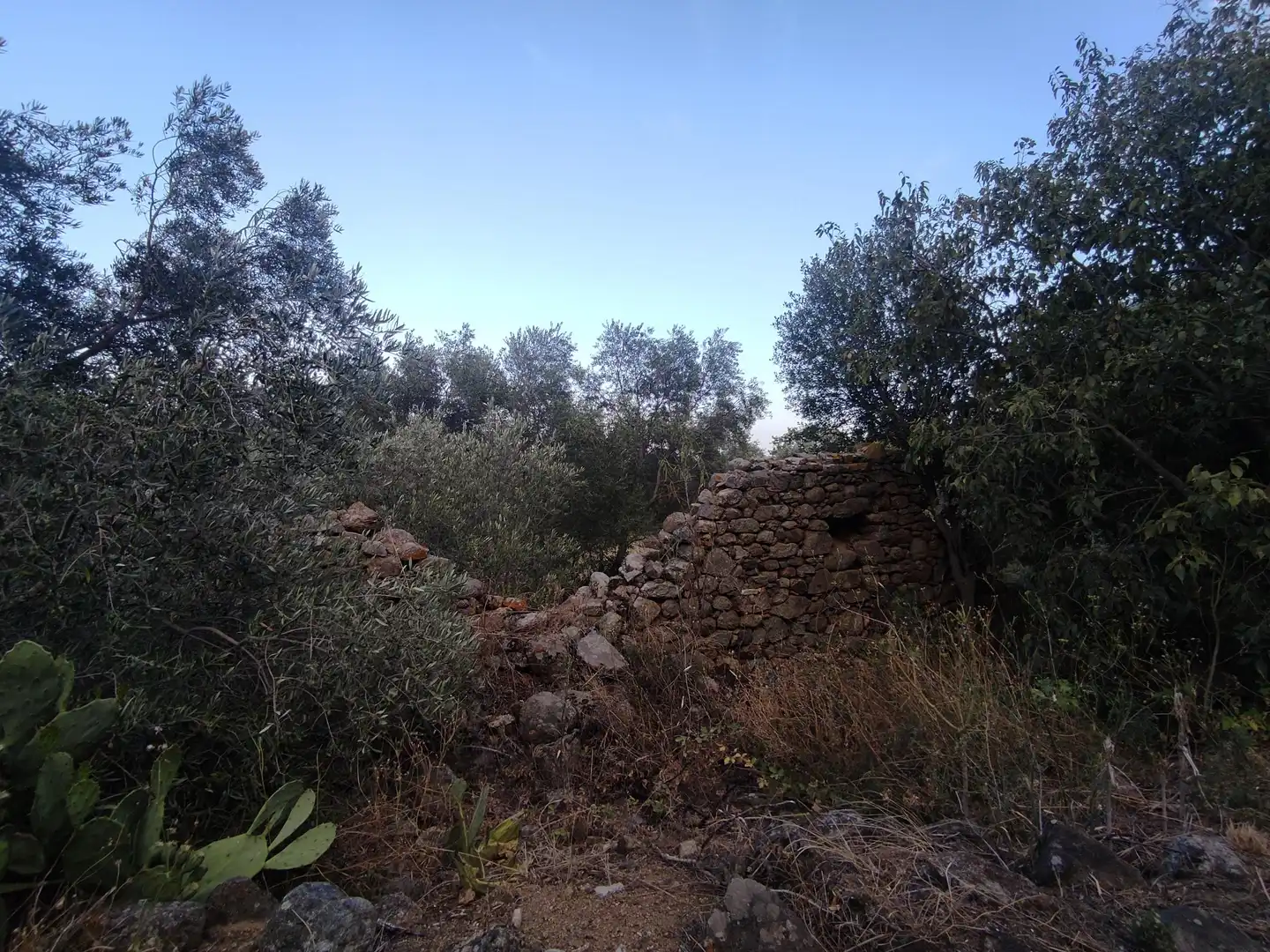 Casa o xalet en venda en Sant Climent Sescebes
