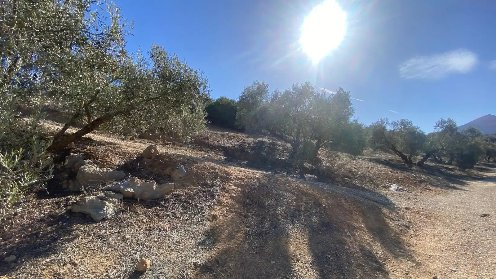 Finca rústica en venta en Valle de Abdalajís con Calefacción, Jardín privado y Terraza