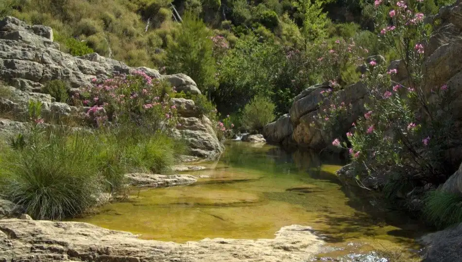 Jardín de Casa o chalet en venta en Sot de Chera con Amueblado, Horno y Lavadora