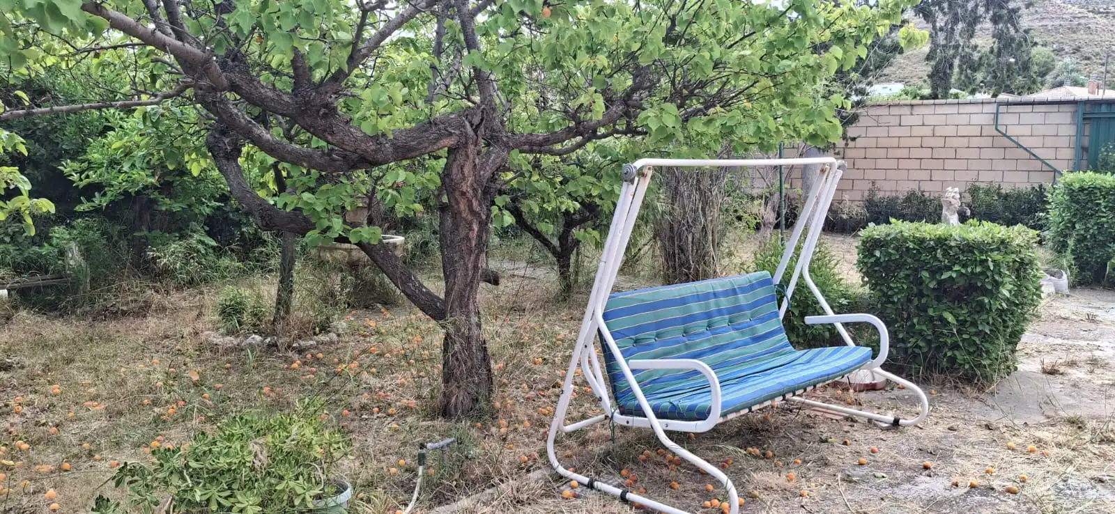 Jardí de Casa o xalet en venda en Cadrete amb Calefacció, Jardí privat i Terrassa
