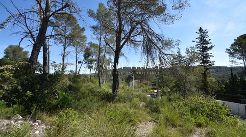 TERRENO EN MAS MESTRE, OLIVELLA, immagine 4