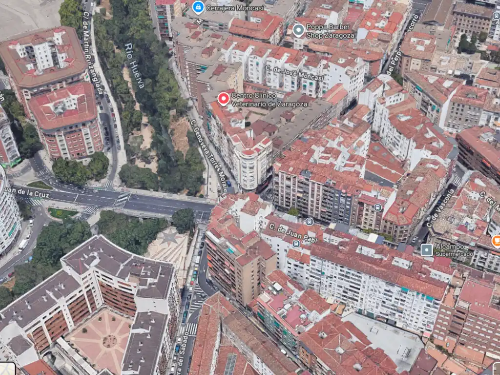Piso de alquiler en Calle del Doctor Ricardo Lozano Monzón, 10, Ruiseñores