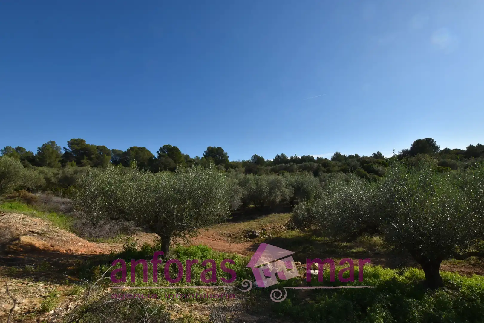 Terreno rustico in vendita a Urbanitzacions de Llevant, imagen 3