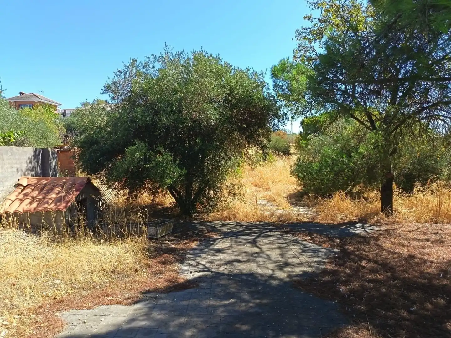 Casa o chalet en venta en Albarreal de Tajo con Calefacción