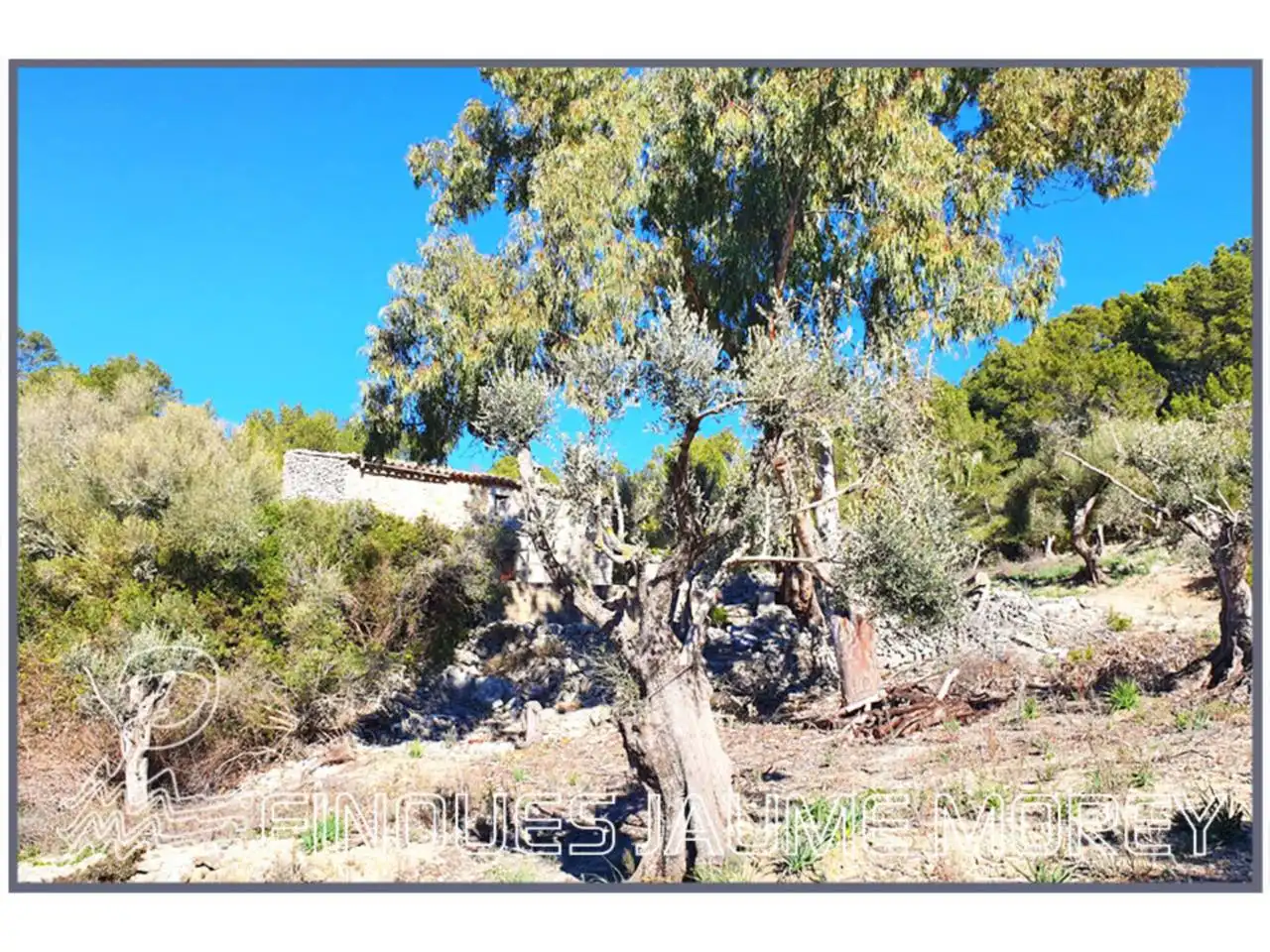 Finca rústica en venta en Mancor de la Vall con Jardín privado y Terraza