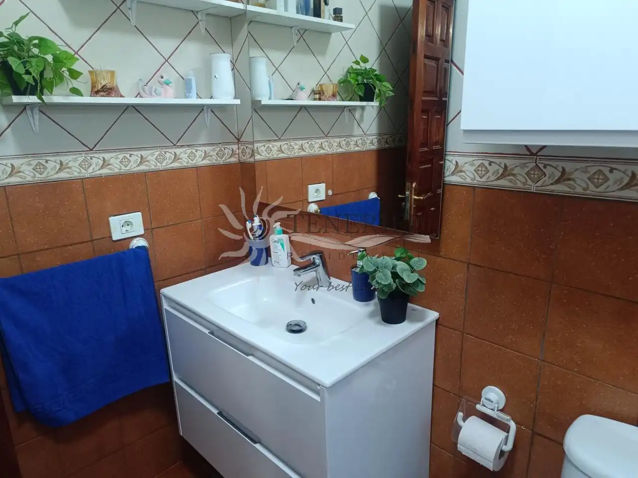 Maison avec piscine à vendre à pino, imagen 27