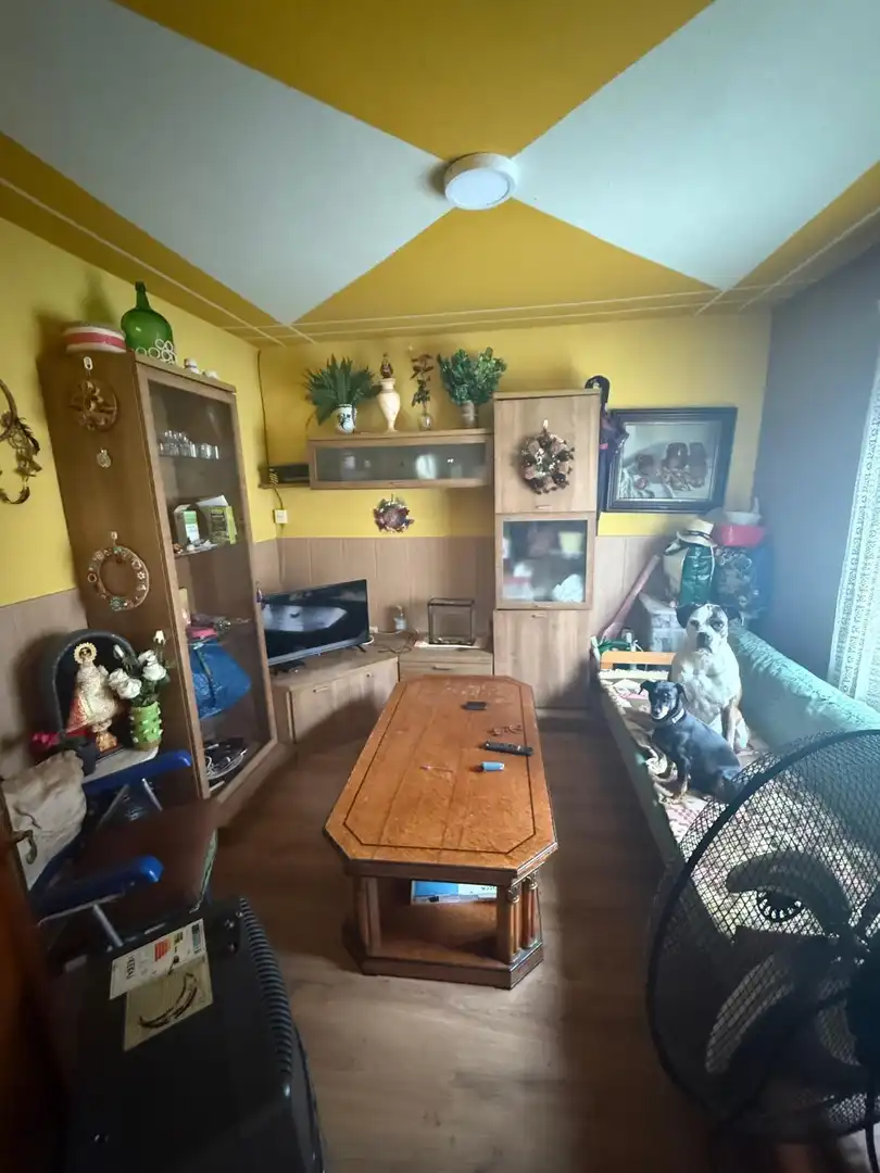 Sala d'estar de Casa o xalet en venda en Mieres (Asturias) amb Terrassa, Piscina i Moblat