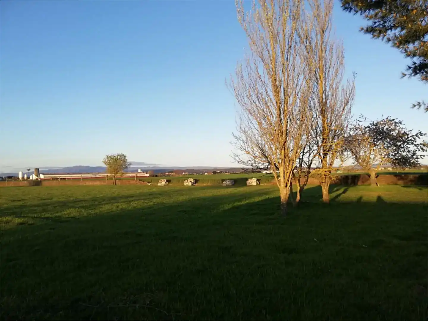 Finca rústica en venda en Xinzo de Limia