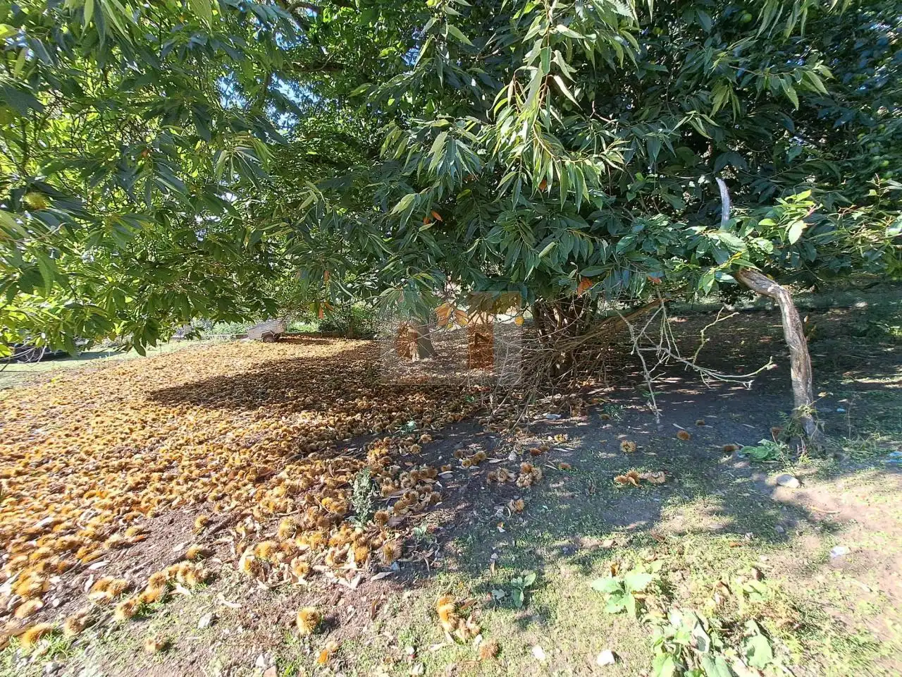 Casa rústica amb jardí en venda a Moaña, imagen 4