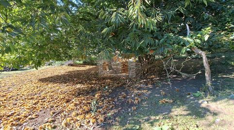 Foto 4 de Finca rústica en venta en Moaña, Pontevedra