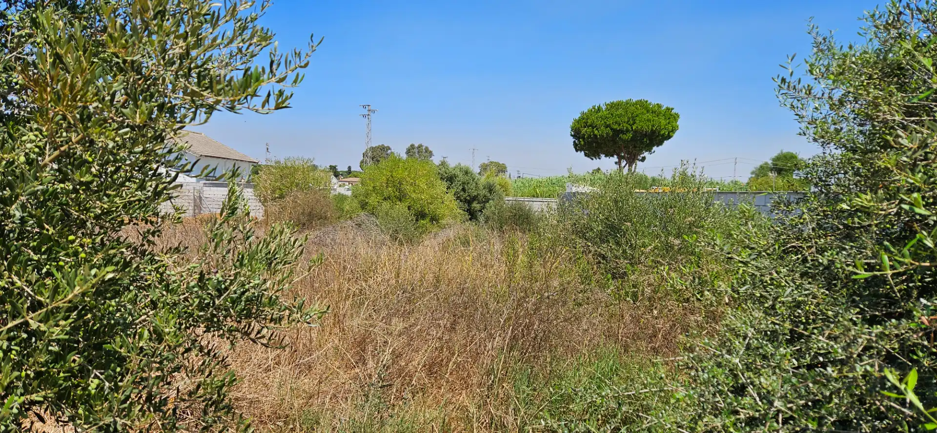 Terreny en venda en Chiclana de la Frontera
