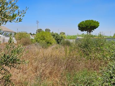 Terreno rustico in vendita a Las Lagunas - Campano