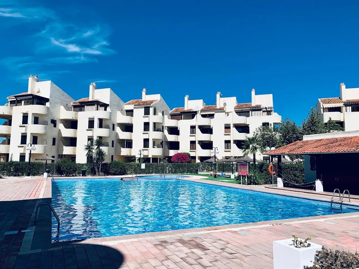 Swimming pool of Apartments for sale in Las Marinas / Les Marines