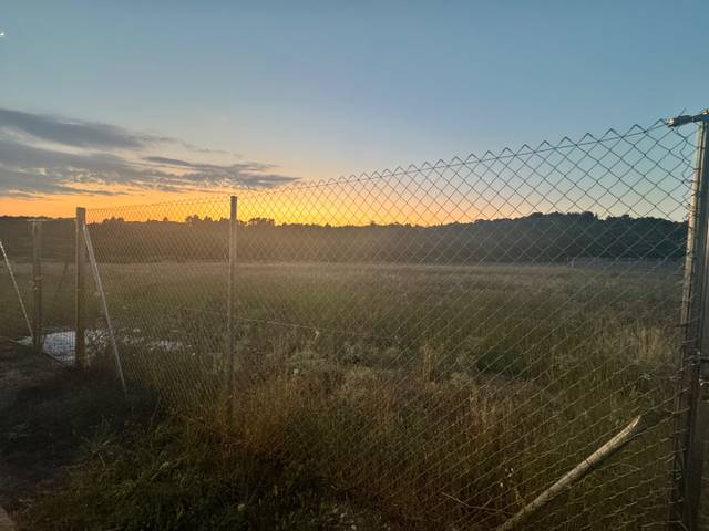 Terreno residencial en Venta en Avenida de Trillo, 184 en Trillo