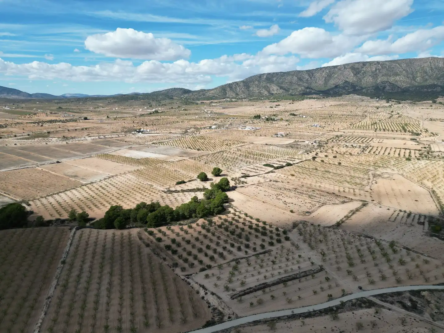 Terreno residencial en venta en El Pinós / Pinoso, imagen 14