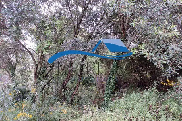 Lands and plots for sale in Flors, imagen 5