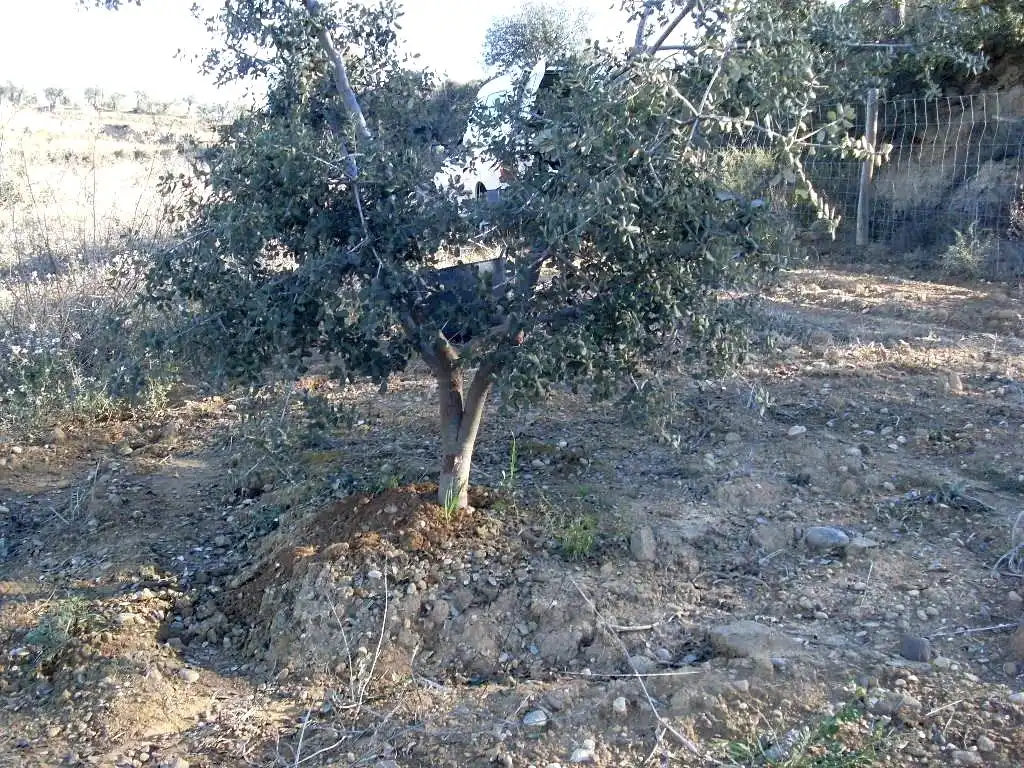 Terreni e lotti in vendita a Barbastro, imagen 8
