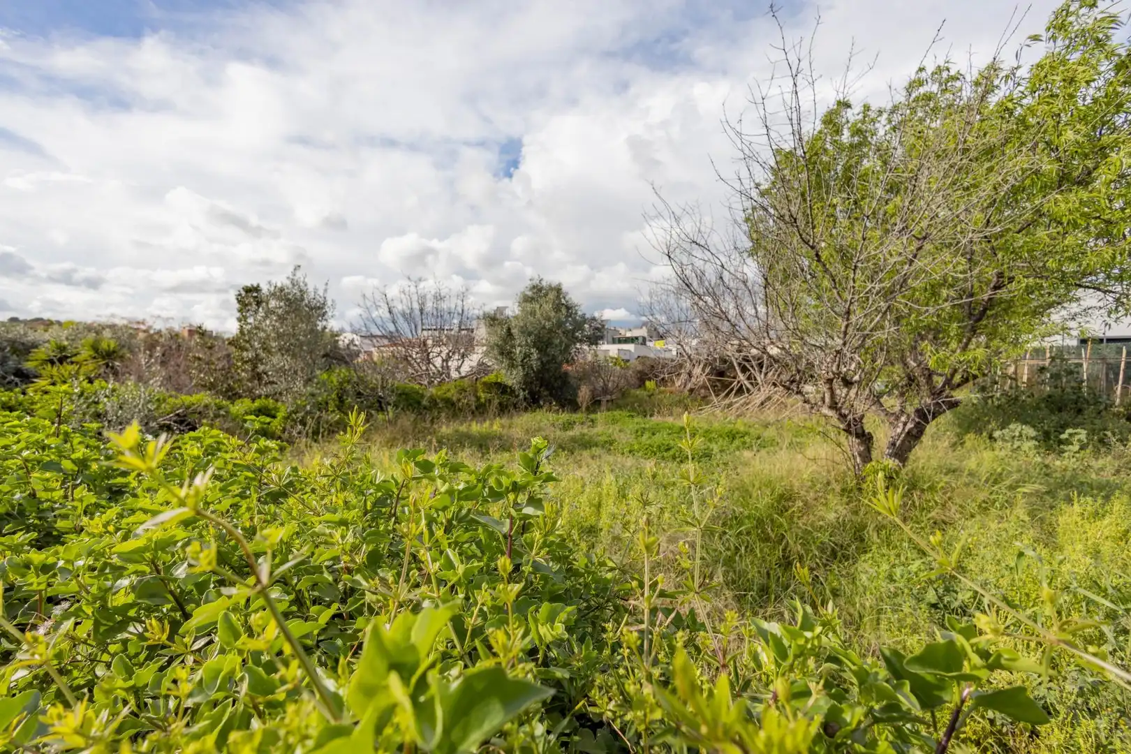 Residential land for sale in Pasaje DALLA, imagen 6