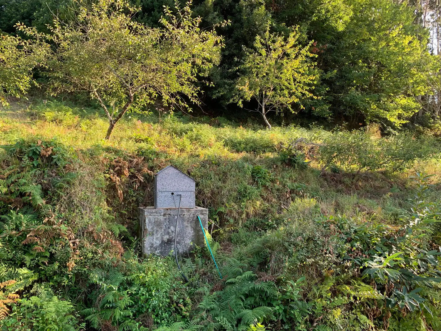 Maison rustique avec jardin à vendre à Lugar Peneiro 7, imagen 43