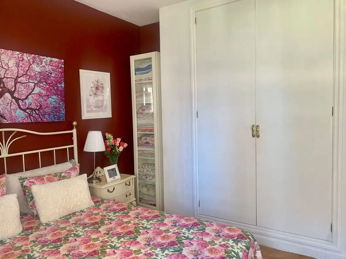 Mini appartamento in affitto a San Gabriel - Palmeral - Urbanova, imagen 21