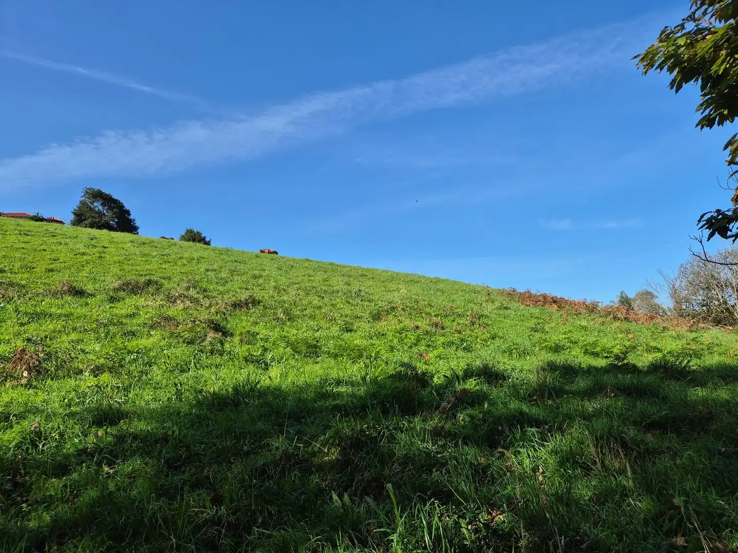 Residencial en venta en Cudillero