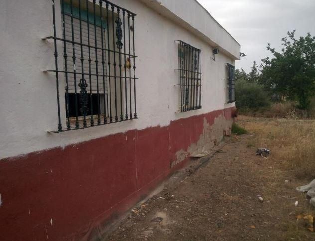 Vista exterior de Finca rústica en venda en Carmona amb Jardí privat i Piscina