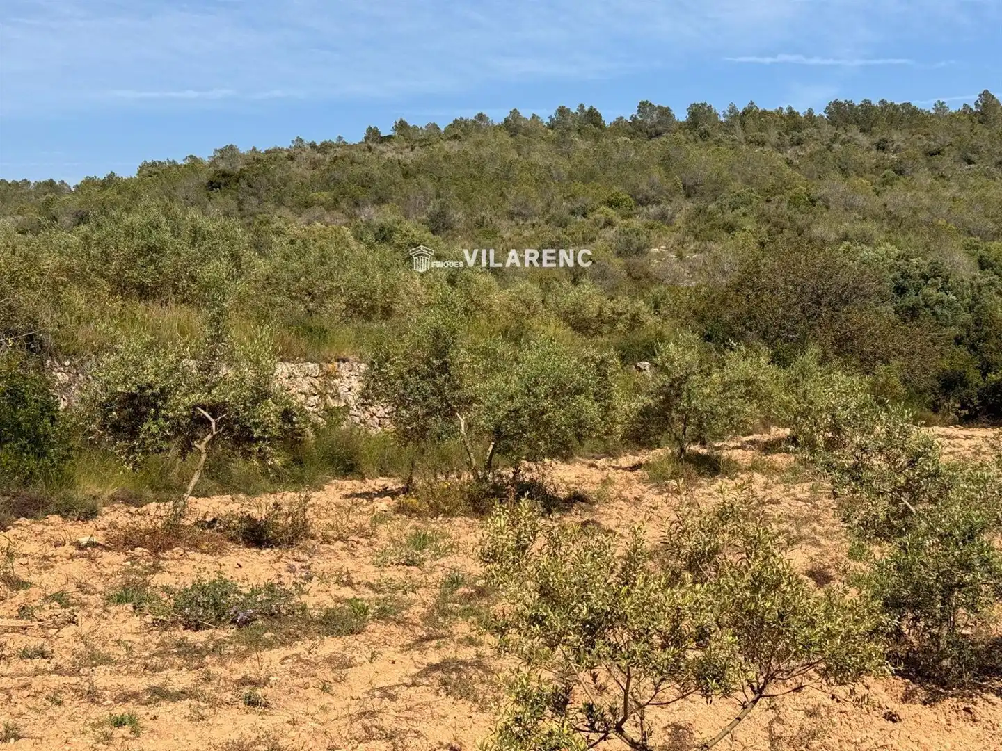 Rural land for sale in Massos de Vespella, imagen 27