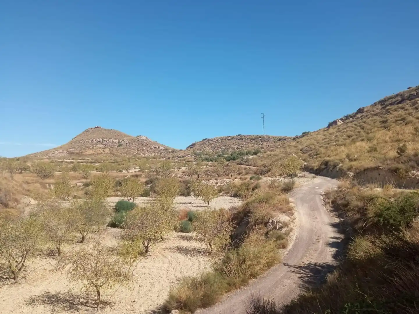 Terrains et parcelles à vendre à Pedanías Norte, imagen 7