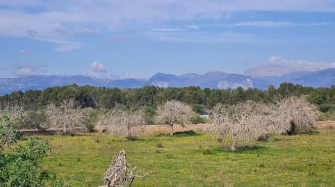 Photo 4 of Country house for sale in Algaida, Illes Balears