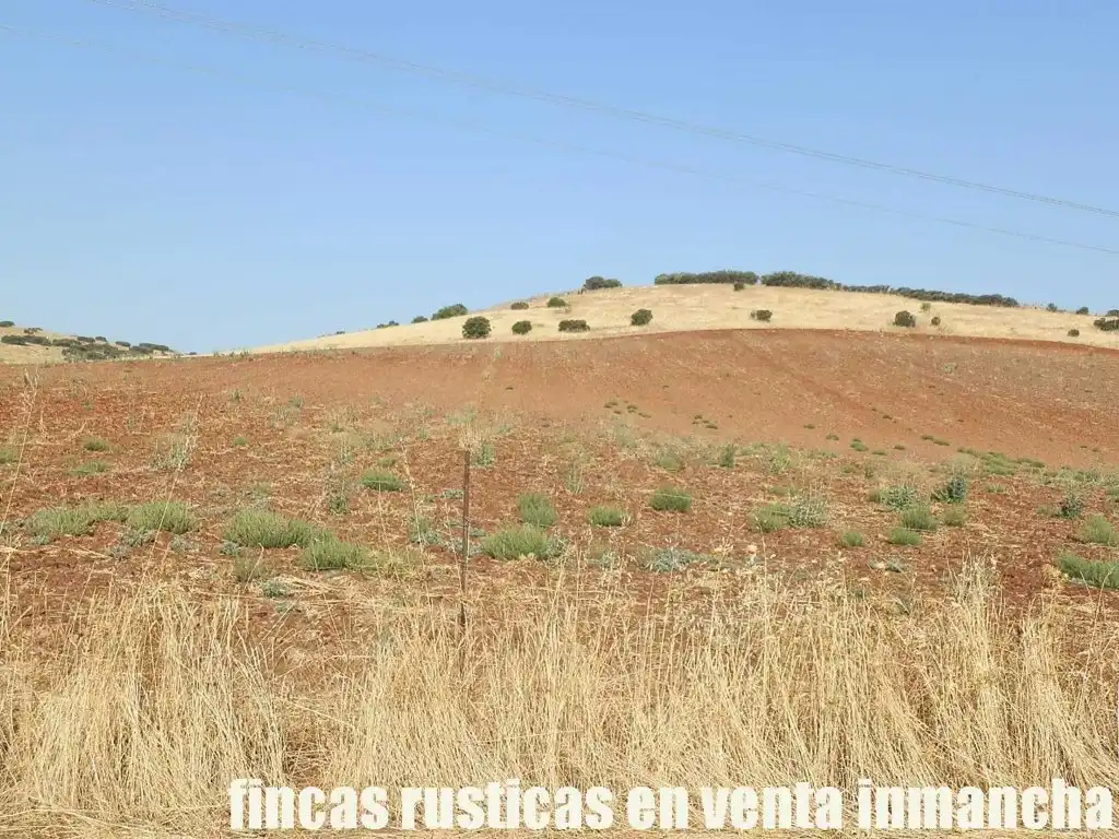 Terrenys i solars en venda a Almagro, imagen 9