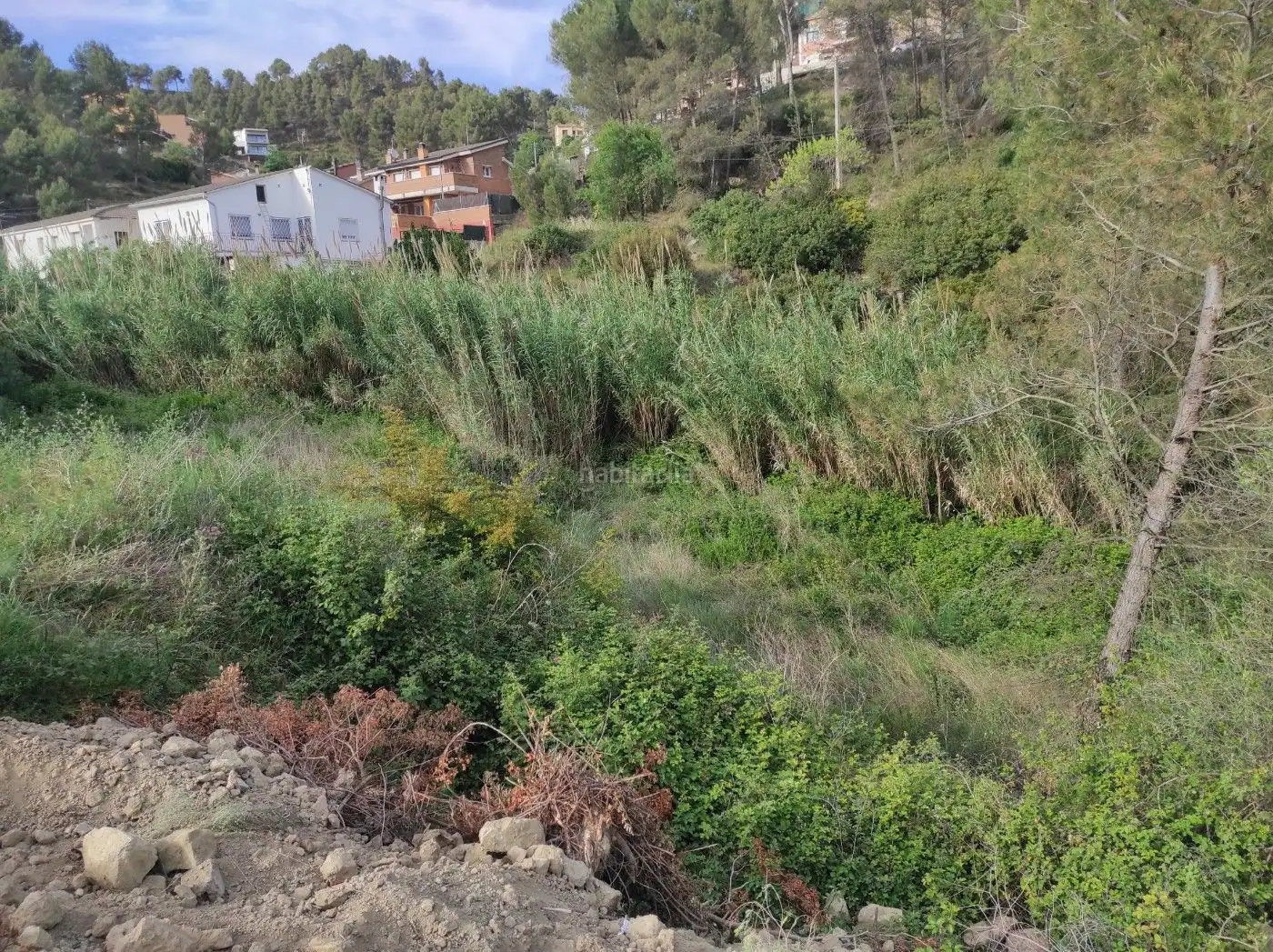 Wohnbaugrundstück zum Verkauf in Avinguda Montserrat 45, imagen 5