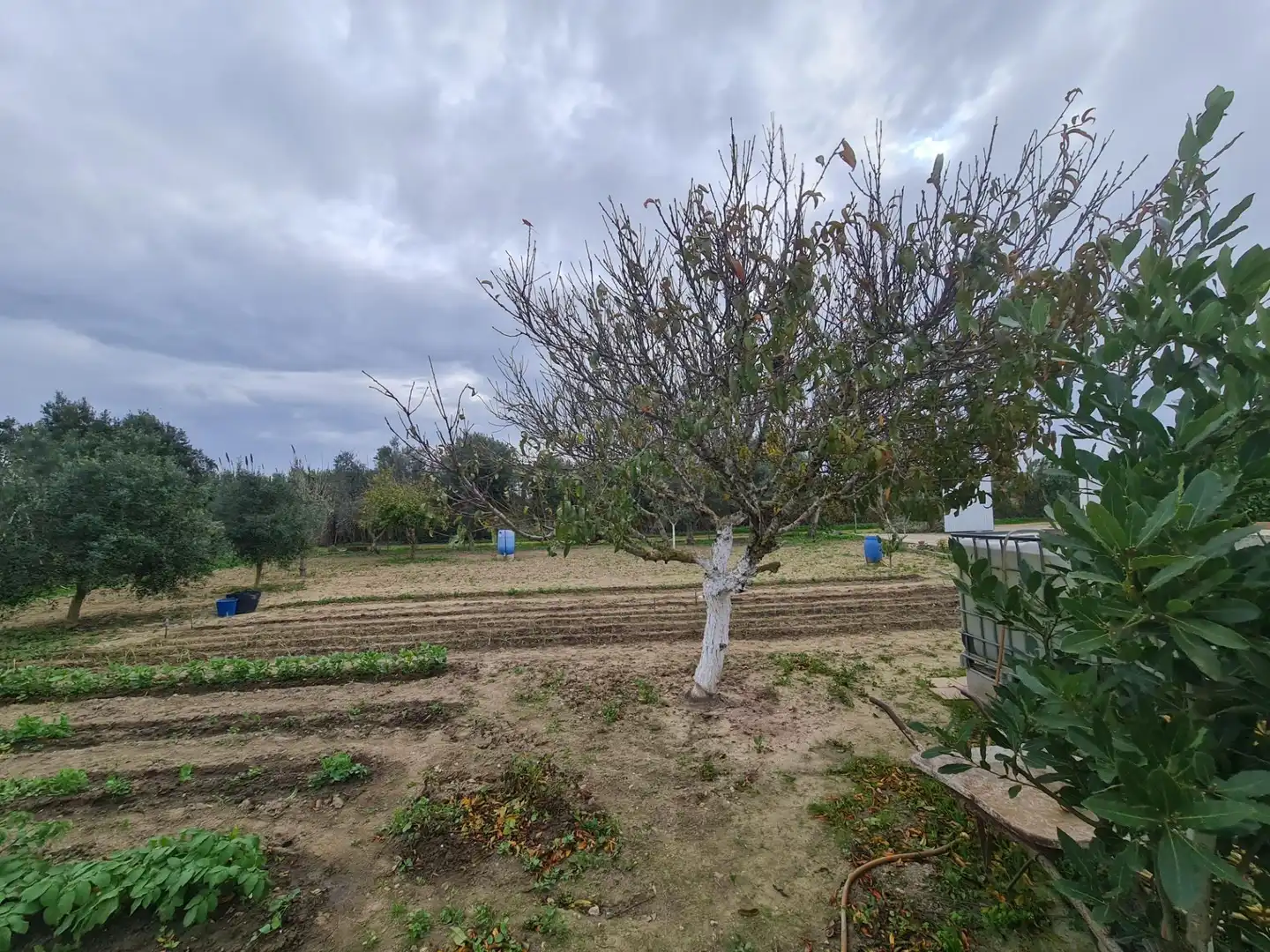 Casa o xalet en venda a Pelagatos - Pago del Humo