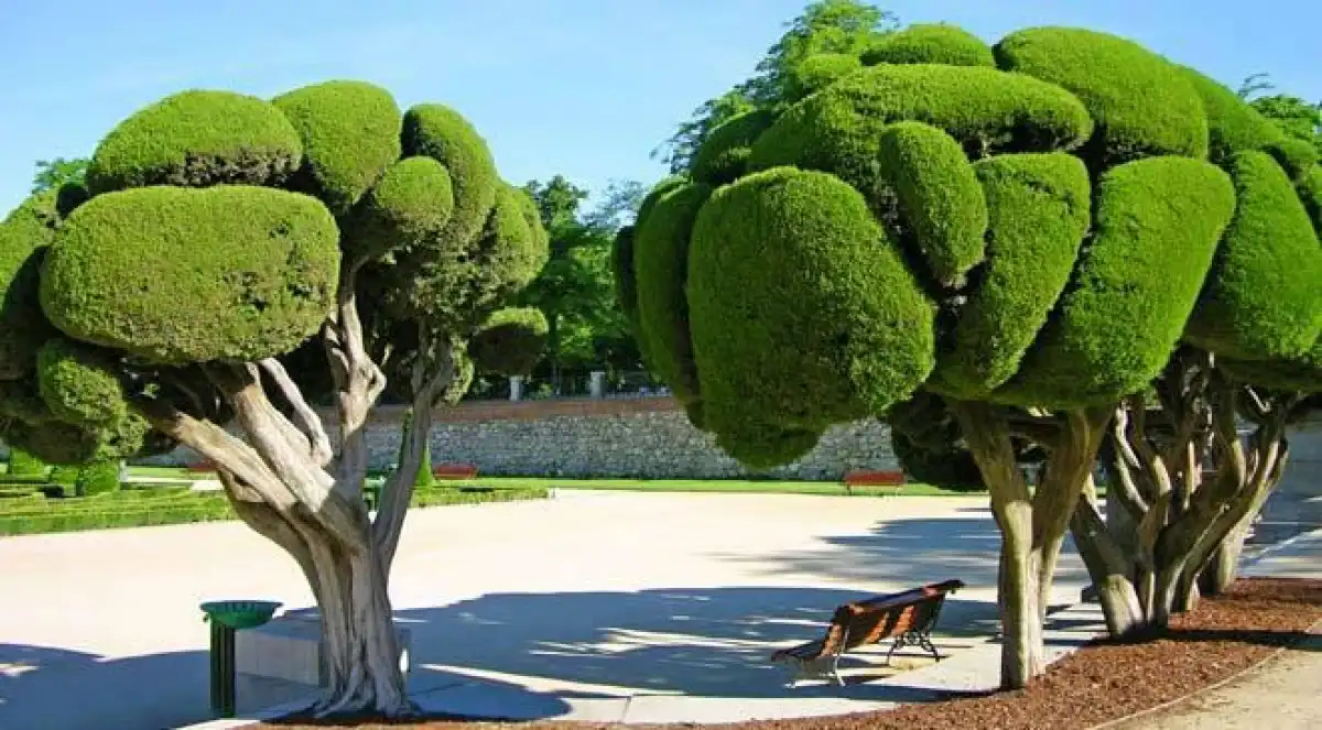Jardí de Pis de lloguer en Madrid amb Aire condicionat, Calefacció i Terrassa