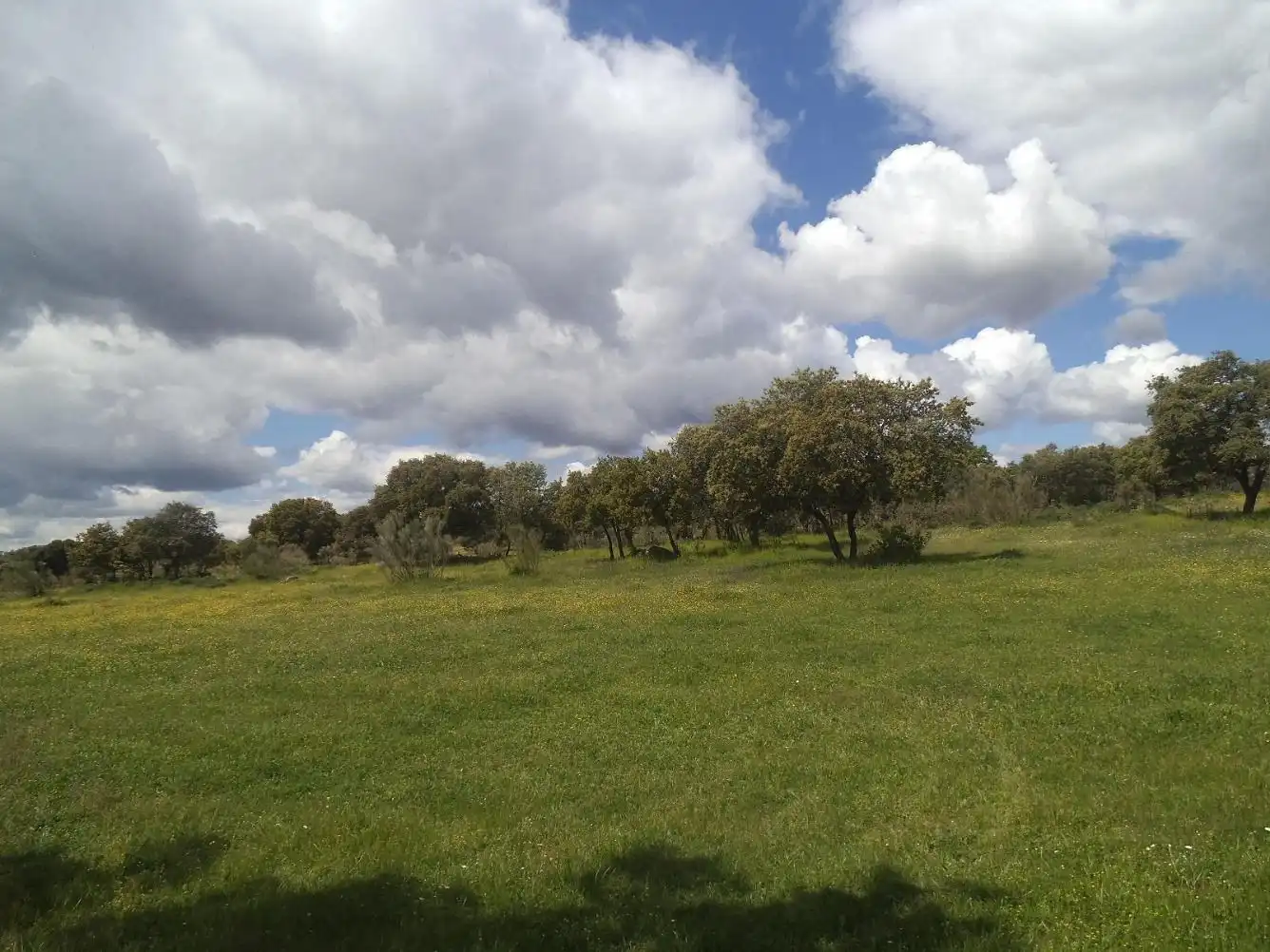 Residencial en venda en Valdemorillo