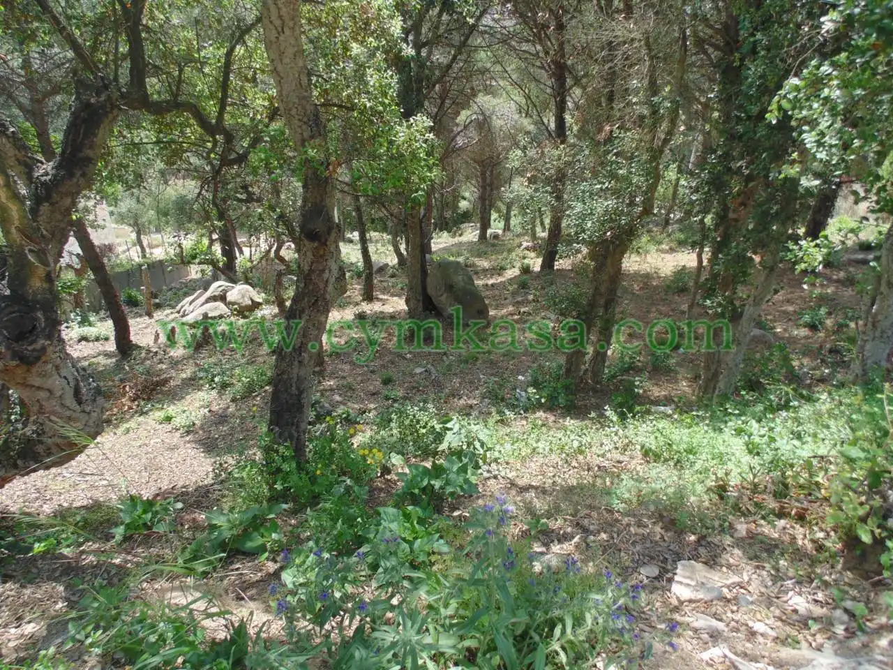 Terreny rústic en venda a Serra Brava, imagen 2