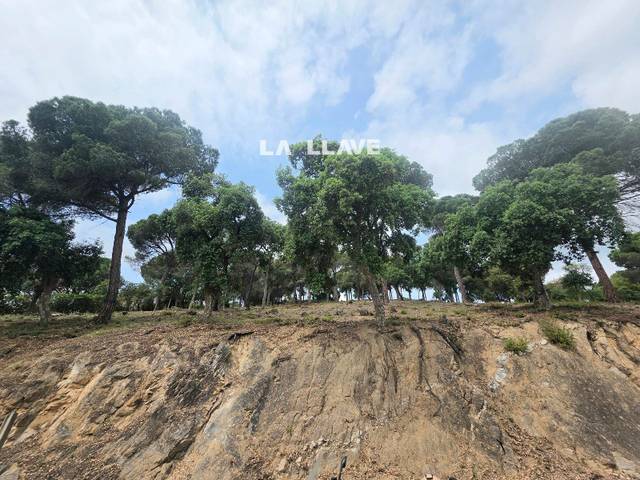 Terreno en Venta en SANT DANIEL en Mas Mora - Sant Daniel