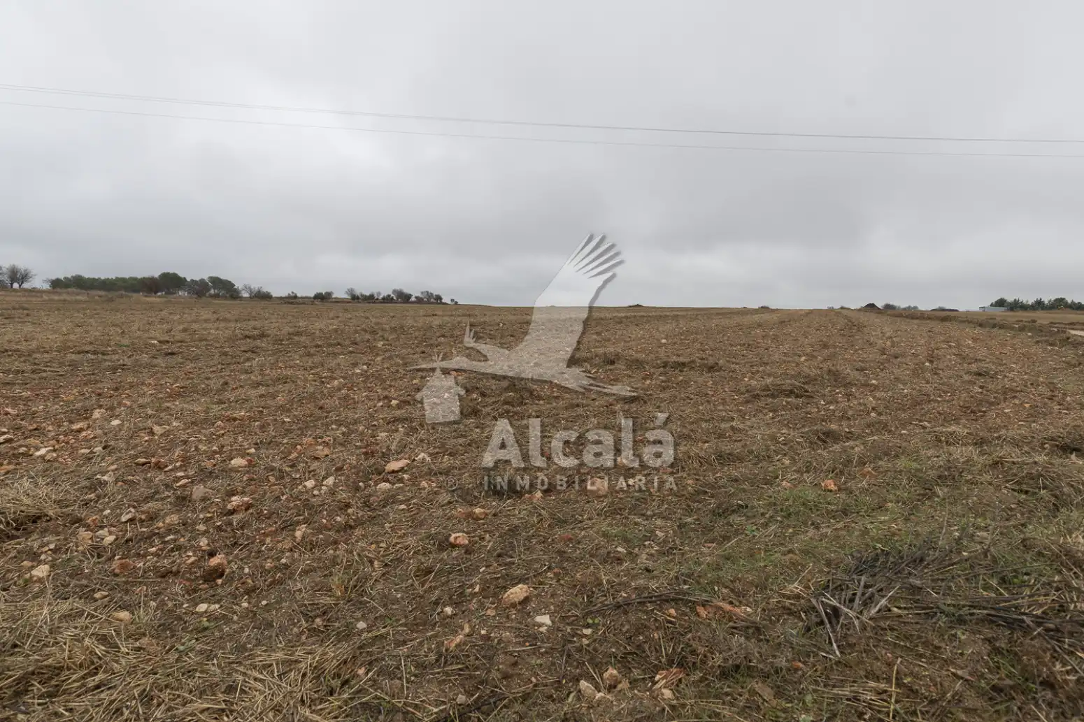 Rural land for sale in Pezuela de las Torres, imagen 10
