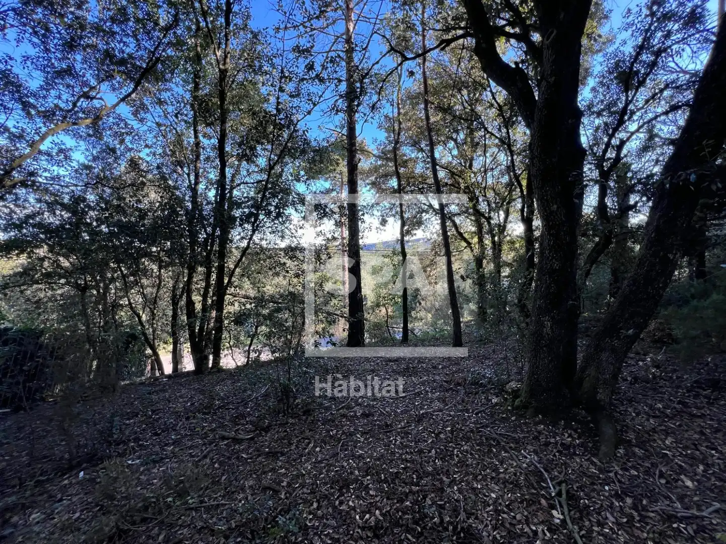 Terrain rustique à vendre à Sant Quirze Safaja - CL PUIG DARI, imagen 6