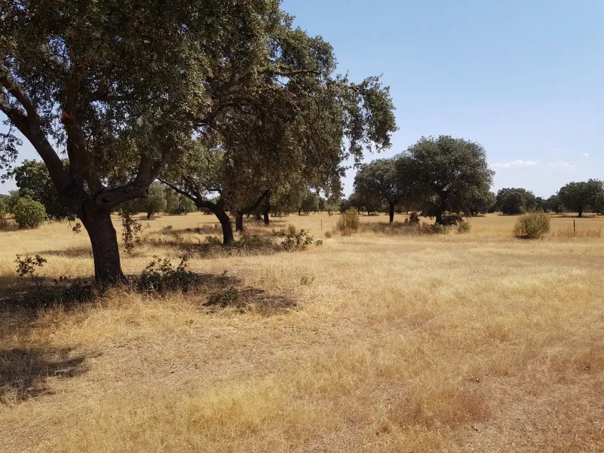 Landhaus zum Verkauf in Villanueva del Duque, imagen 8