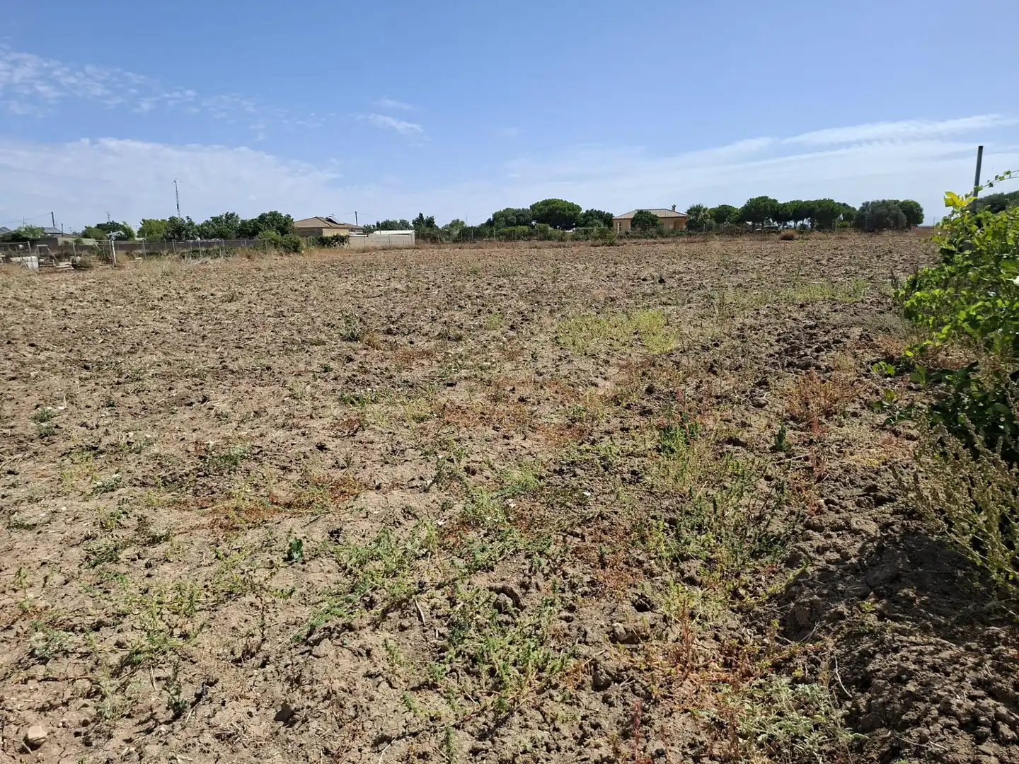 Terrenys i solars en venda a Los Franceses – La Vega, imagen 4