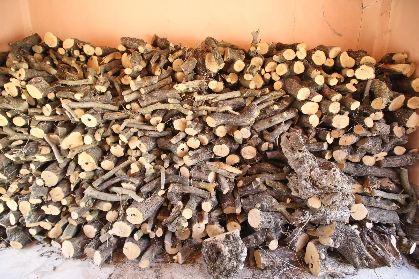 Casa rústica amb jardí en venda a partido romeral, imagen 43