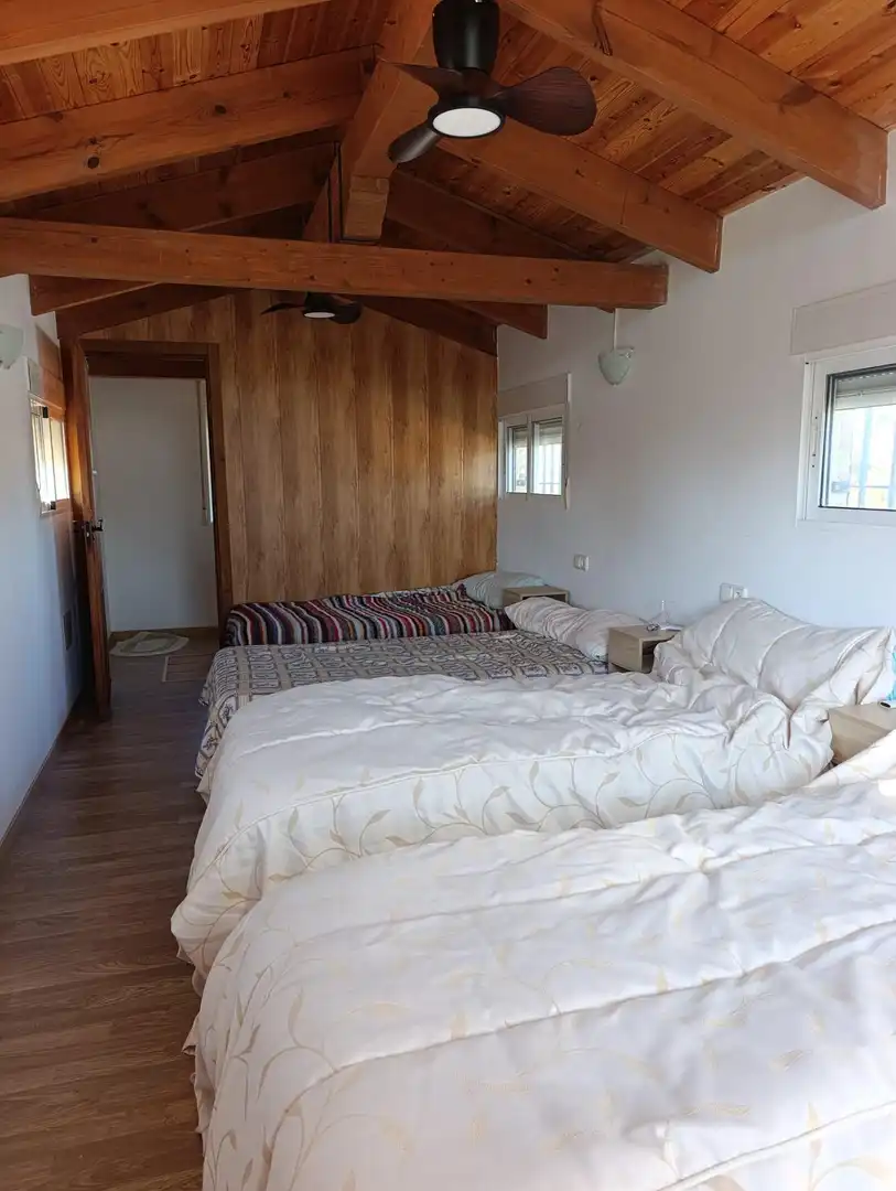 Casa amb piscina en venda a Camino Viejo de Fortuna, imagen 51