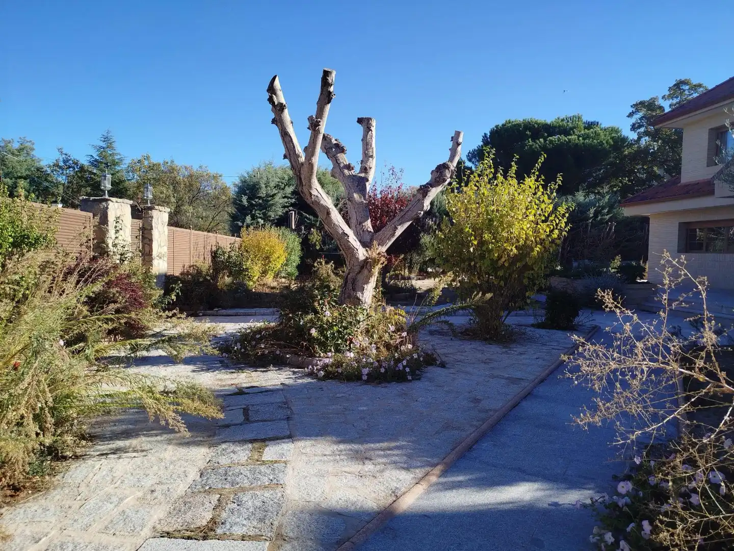 Garden of Houses for sale in El Escorial  with Heating and Swimming Pool