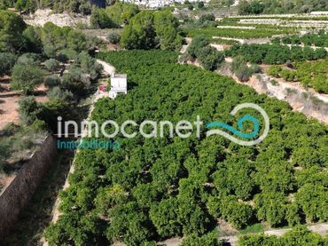 Terrenys i solars en venda a L'Atzúbia