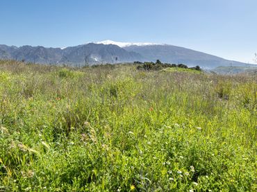 Terreno rustico in vendita a Villamena
