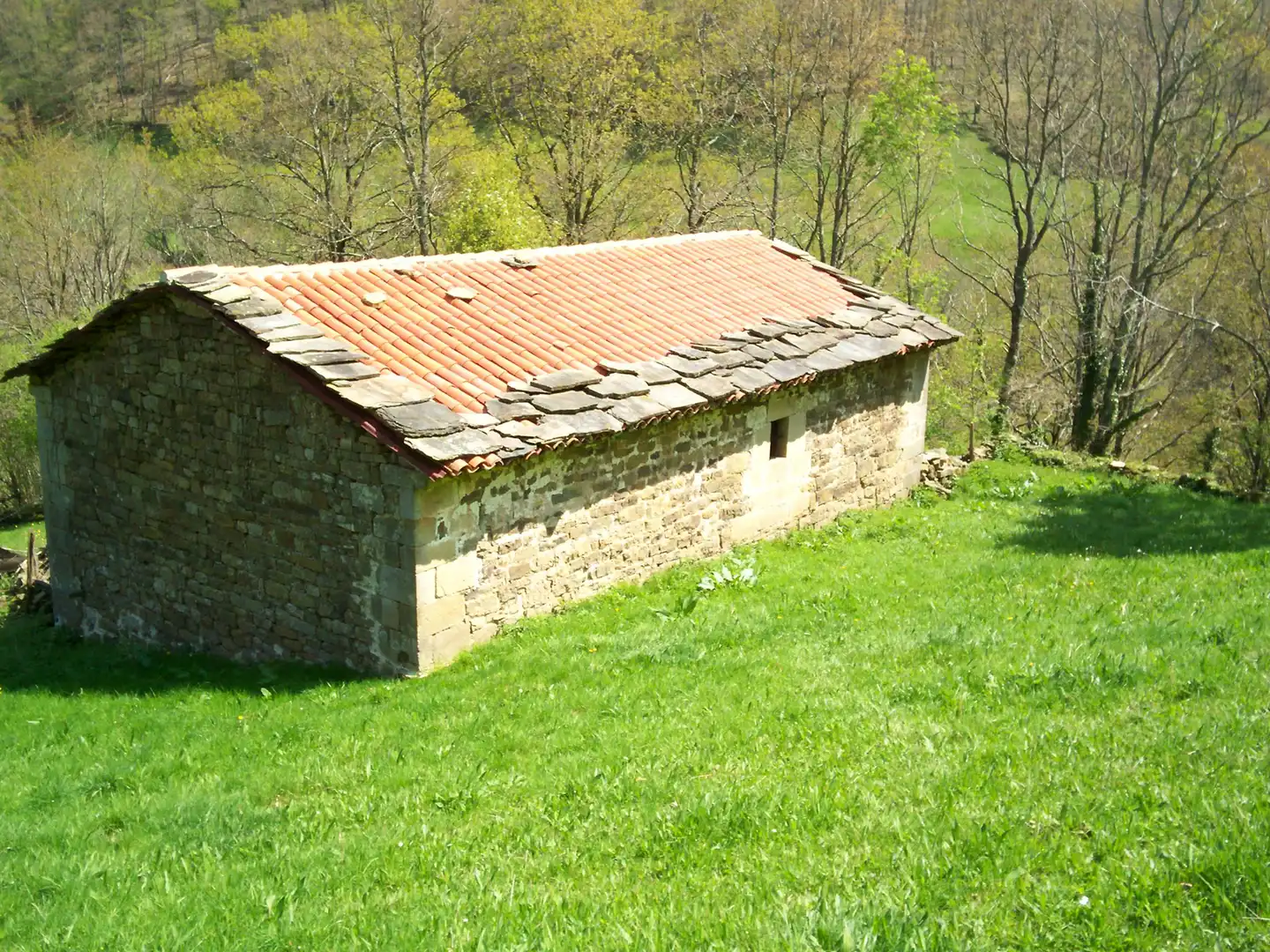 Terreni e lotti in vendita a San Pedro del Romeral, imagen 2
