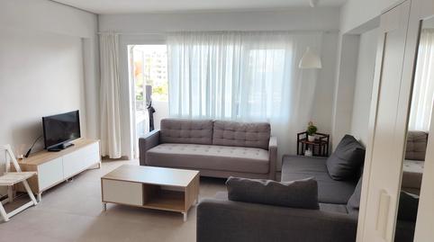 Foto 3 de Estudi de lloguer a Carrer de L'estany Rodó, 3, Port d'Alcúdia - Platja d'Alcúdia, Illes Balears