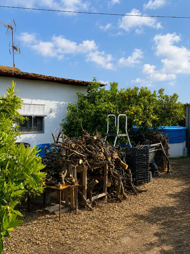 Jardín de Finca rústica en venta en Murcia con Jardín privado, Trastero y Piscina